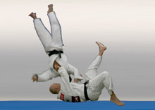 judo