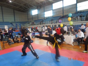DSCN2454